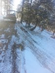 Snow Winter Freezing Tree Geological phenomenon
