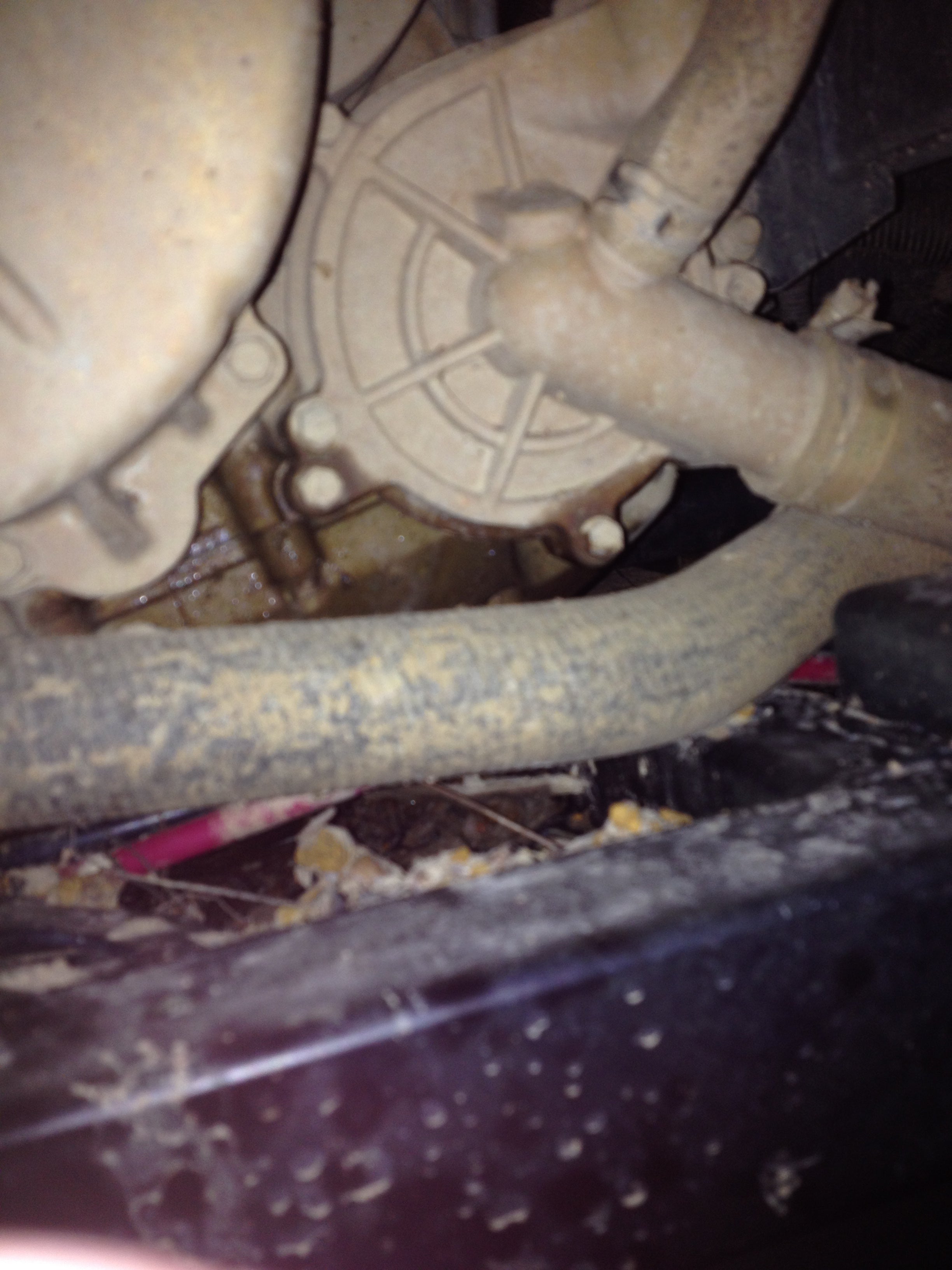 Water pump leaking?